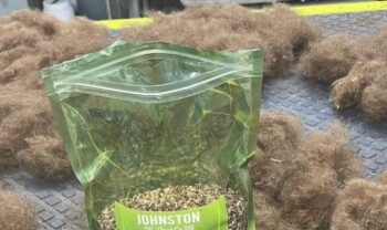 Wildflower Fiber Mat 4